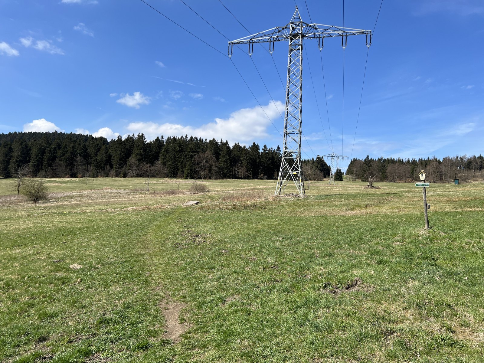 Hochspannungsleitung über einer grünen Landschaft
