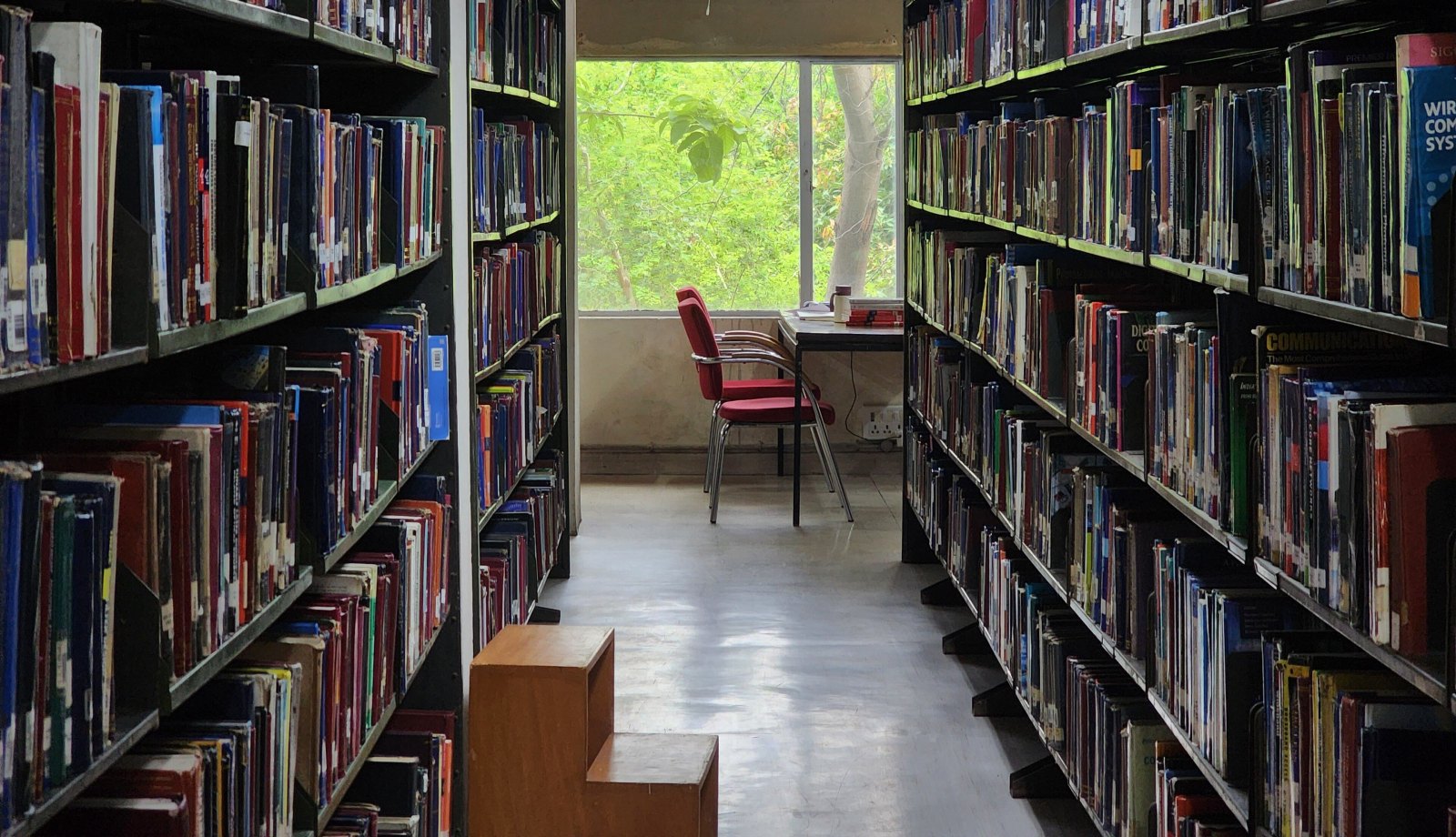 Regale mit Büchern in einer Hochschulbibliothek