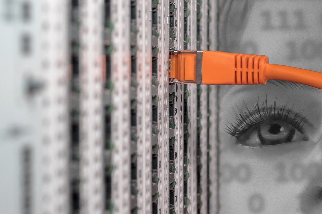 Netzwerkkabel in einem Server-Schrank