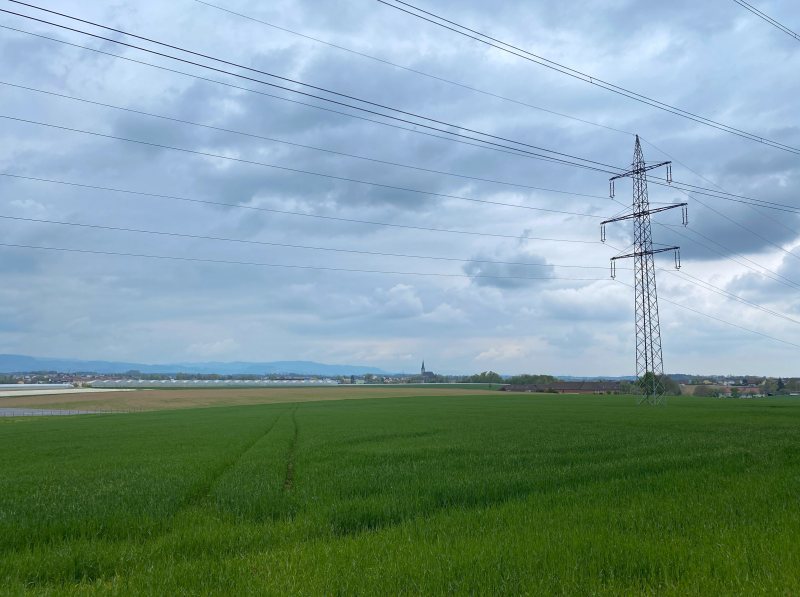 Stromleitung in Niederösterreich als Symbol für den österreichischen Energiemarkt