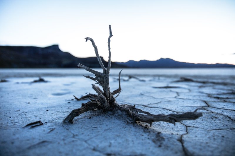 Trockener, aufgerissener Boden in einer Landschaft.