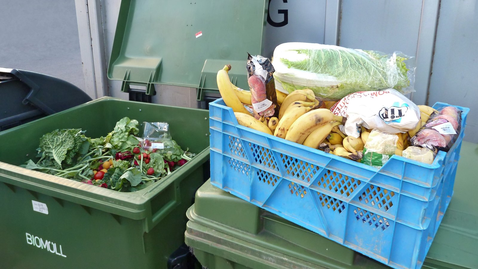 Eine Kiste mit gerettetem Obst und Gemüse