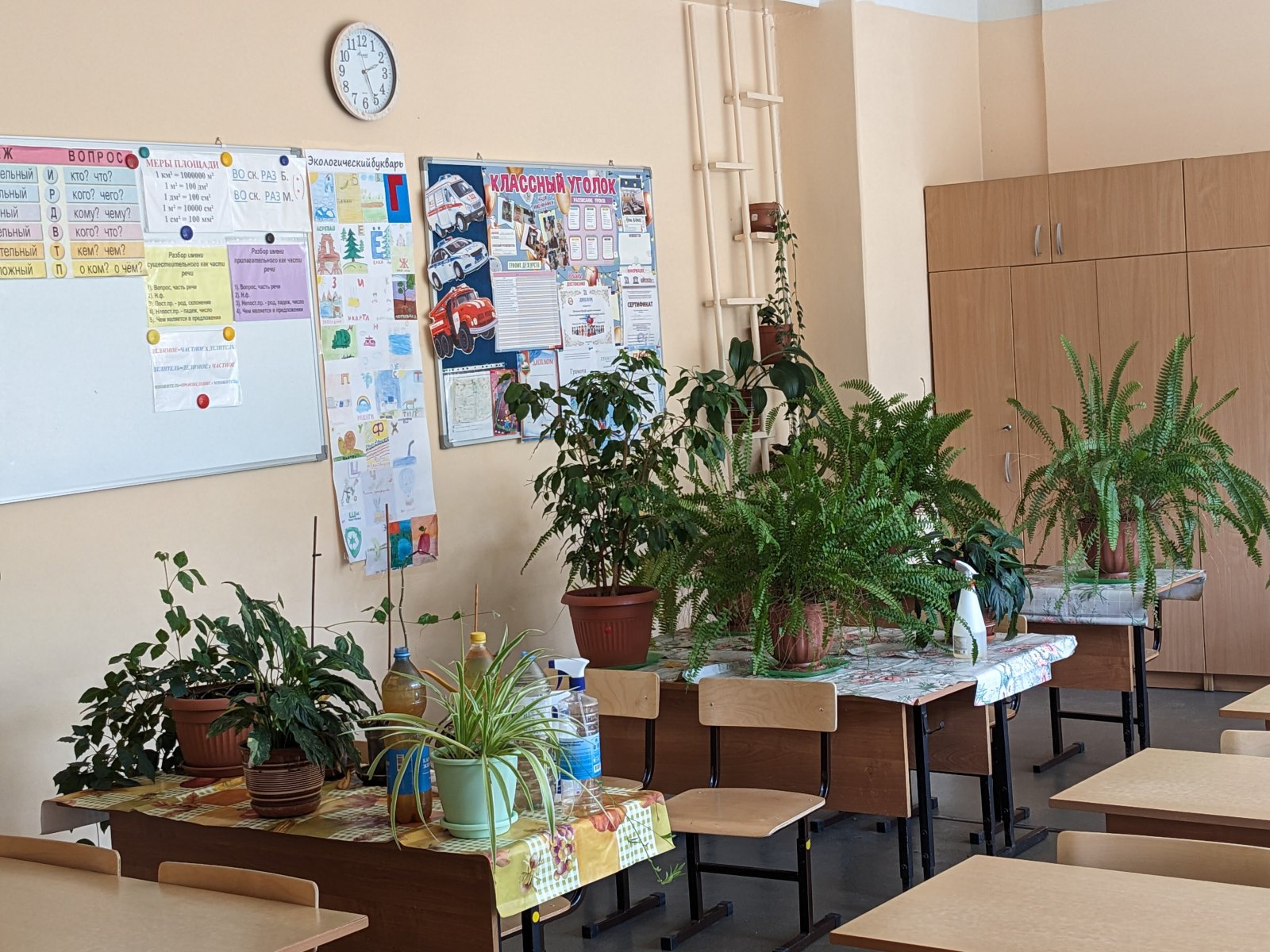 Ein leeres Klassenzimmer mit Tischen, Stühlen und Pflanzen