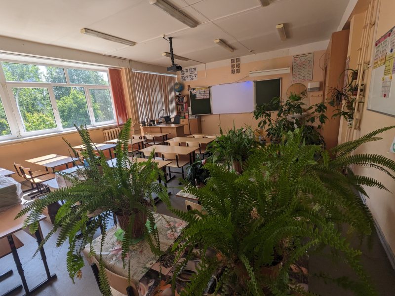 Leeres Klassenzimmer mit Tischen, Tafel und Zimmerpflanzen