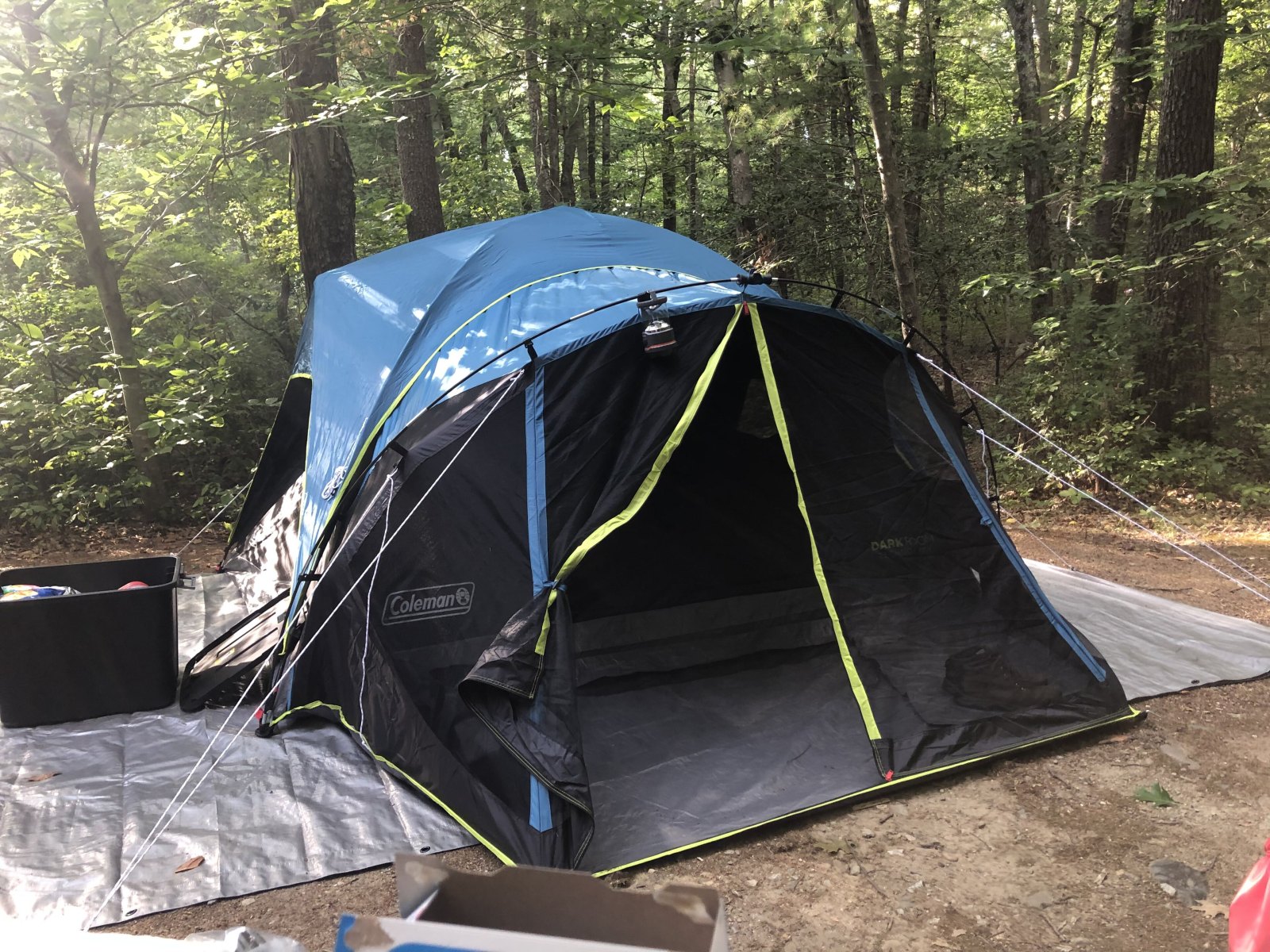 Leeres Campingzelt auf einer Plane zwischen Bäumen