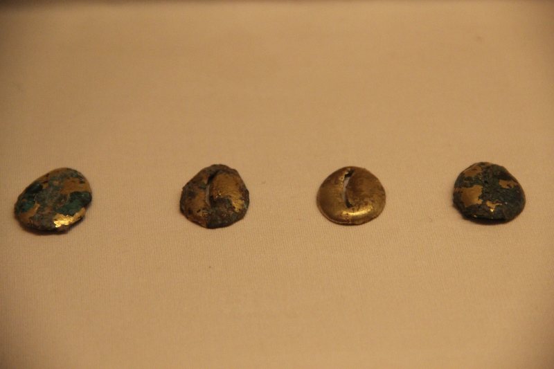 Vier historische Kaurimünzen auf neutralem Untergrund